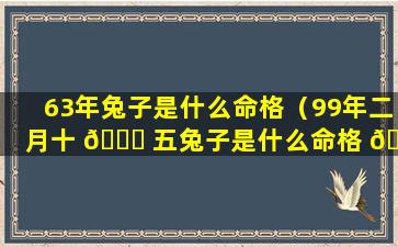 63年兔子是什么命格（99年二月十 🐎 五兔子是什么命格 🦈 ）